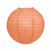 Lampion pakket 25 lampionnen pasteltinten