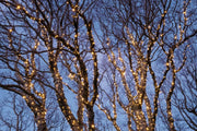 Kerstverlichting door koppelbaar buiten kwaliteit - 10 meter