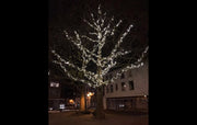 Kerstverlichting koppelbaar helder wit buiten kwaliteit - 10 meter