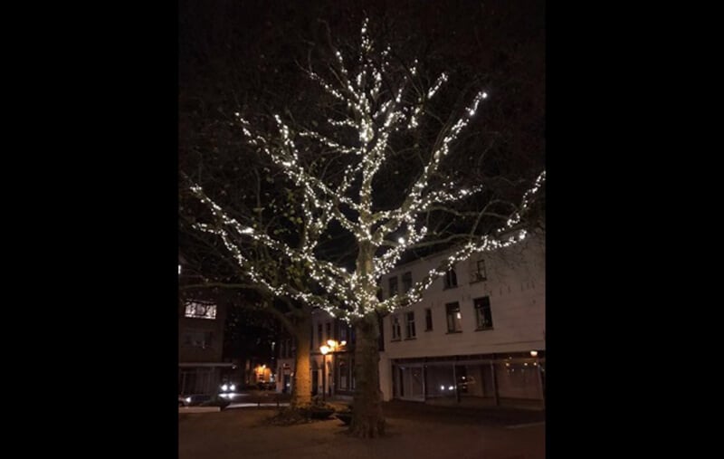 Kerstverlichting koppelbaar helder wit buiten kwaliteit - 10 meter