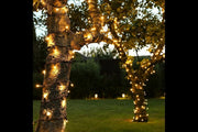 Led boomverlichting 40 meter